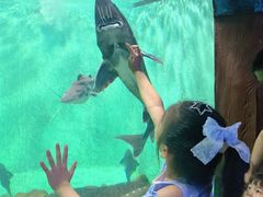 -太平洋海底世界