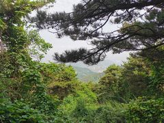 -鲁山国家森林公园