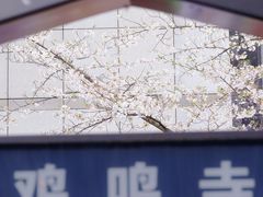 -鸡鸣寺