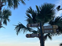 -大梅沙海滨公园