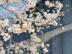 -龙美术馆西岸馆-停车场