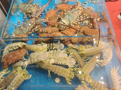 -吴记富苑(朝阳店)