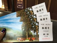 -峨眉山报国寺
