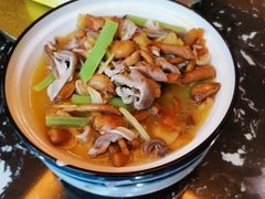 -金龙寨.传承桂林菜(金城店)