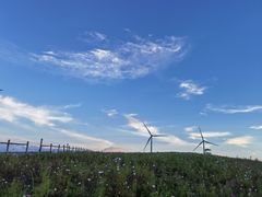 -龙里油画大草原旅游区