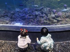 -江和美海洋公园