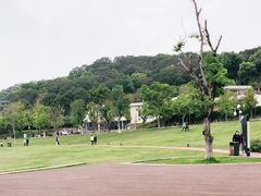-牛岗山公园