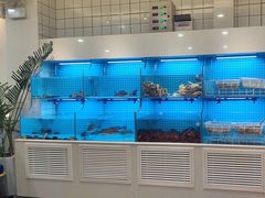 -小艺烧烤(曲江店)
