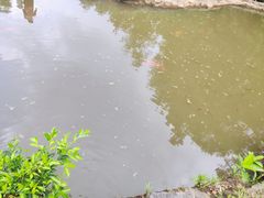 -云溪植物园