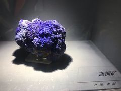 -呼和浩特博物馆