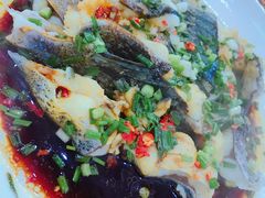 -全乐鱼馆·淳牌有机鱼直营店