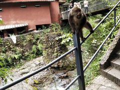 -西岭雪山大飞水景区