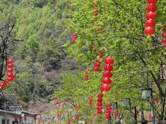 -四明山国家森林公园