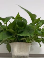 -Dr·Jane皮肤管理中心