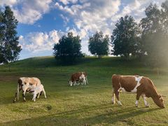 -塞罕坝国家级自然保护区