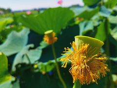 -杜氏旅游度假区