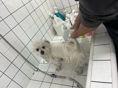 -沐沐家宠物(成寿寺店)