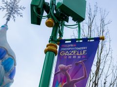 -上海迪士尼度假区