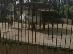 -昆明动物园
