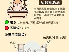 -申普宠物医院(总院)