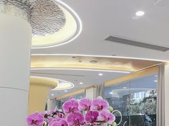 -皓齿连锁·雅贝健口腔·种植·矫正中心(虹口曲阳路店)