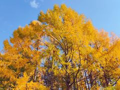 -长春市南湖公园