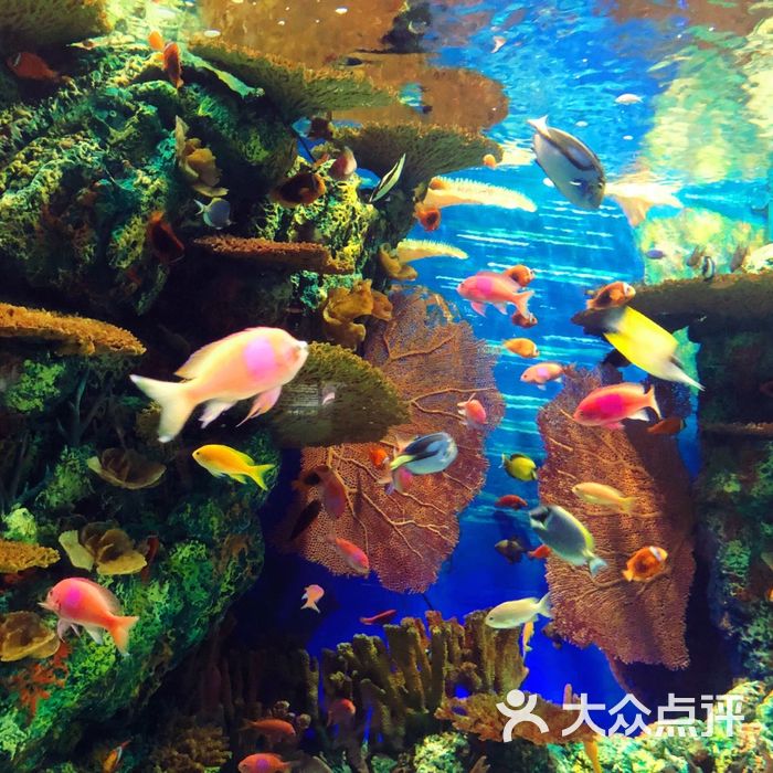 上海海洋水族館