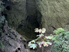 -百魔洞景区