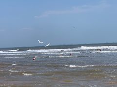 -日照海滨国家森林公园