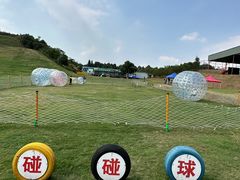 -衢州飞鸿滑草场