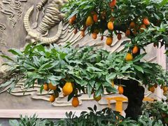 -周老三跷脚牛肉·全牛火锅(非遗传承店)