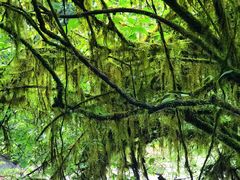 -西岭雪山大飞水景区