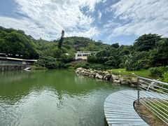 -石排湾郊野公园