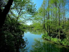 -西溪国家湿地公园