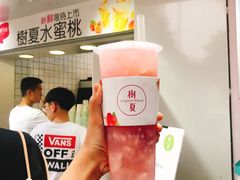 -树夏(建设路店)