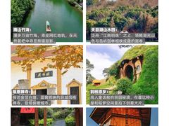 -紫藤园·天目湖大鱼头(南山竹海店)