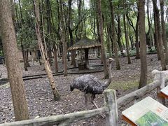 -昆山城市生态森林公园