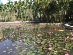 -红色娘子军纪念园