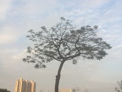 -CHARLES&KEITH(1234space店)