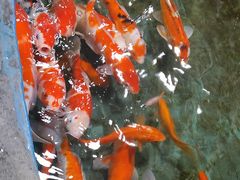 -嘉兴海底世界