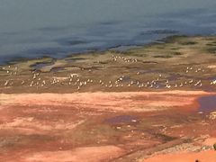 -鄱阳湖国家湿地公园