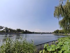 -后海公园