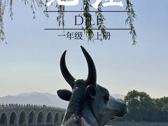 -颐和园