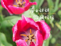 -静安雕塑公园