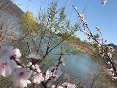 -十三陵水库