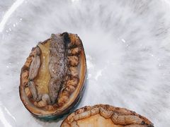鲍鱼-圣罗巴海鲜自助(黑金店)