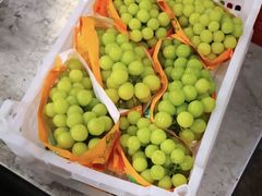 -西郊国际农产品交易中心