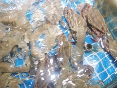 -小时候焗海鲜(鄞州万达店)