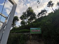 -军营村