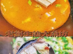 -老刘生态大鱼坊铁锅炖鱼(赛马场店)